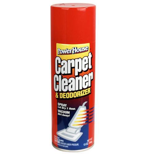 Carpet Cleaner Diversion Safe